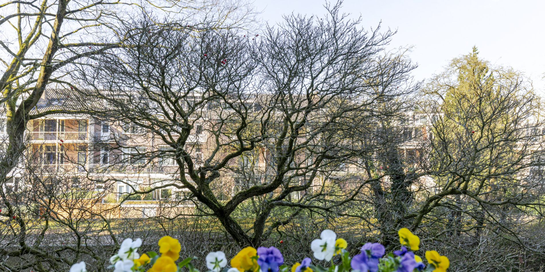 Karel Doormanlaan 32 – Foto 11