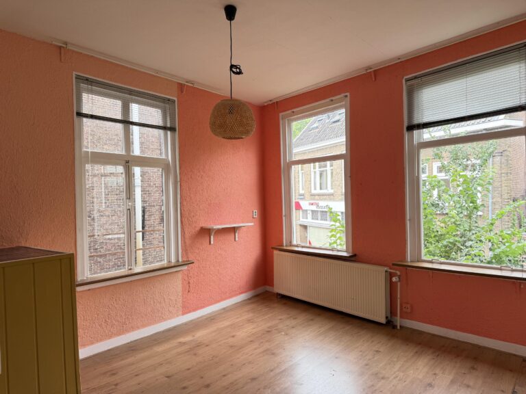 Wijde Begijnestraat 128 – foto 11