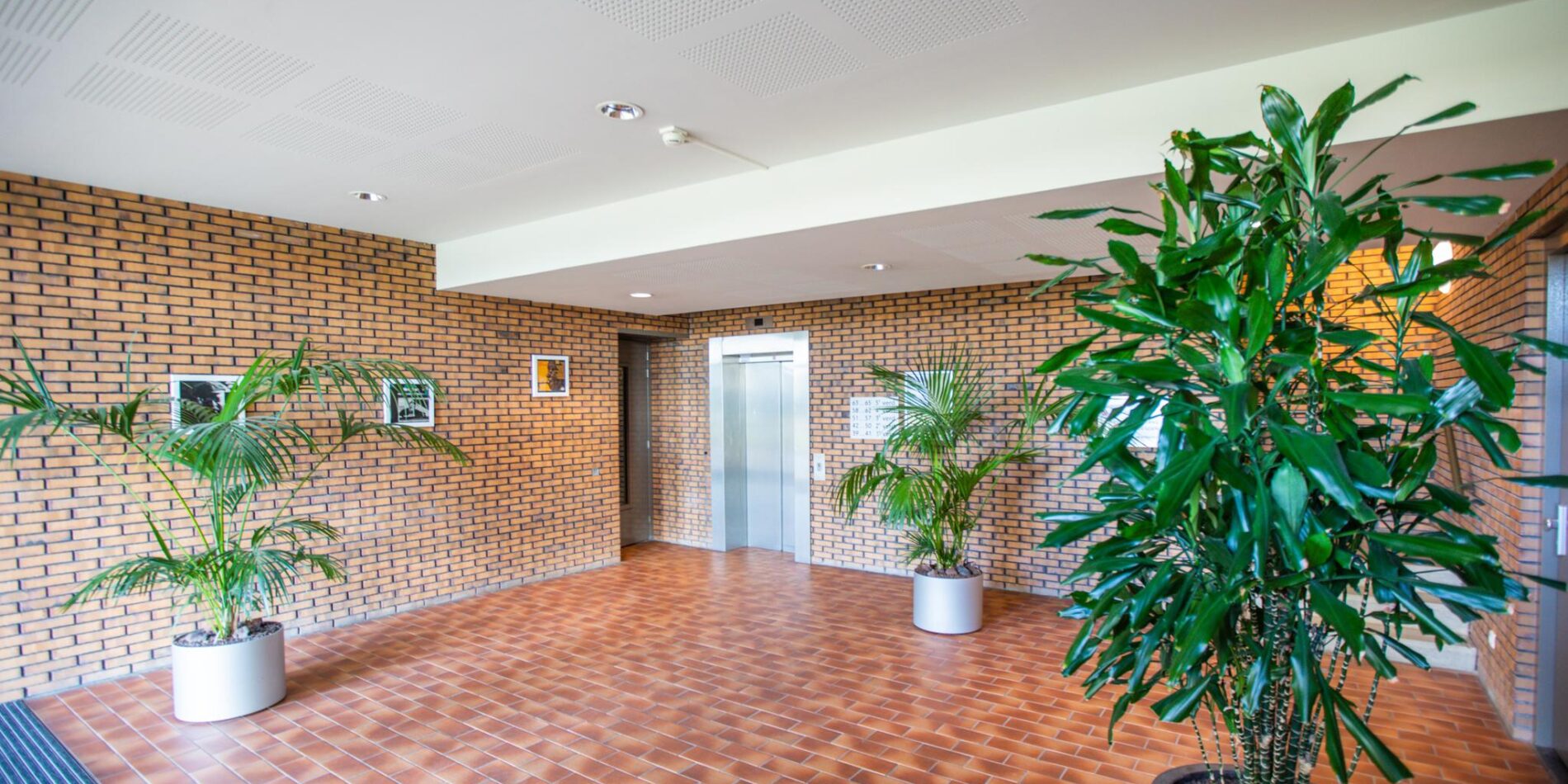 Glenn Millerpad 45 – Foto 11