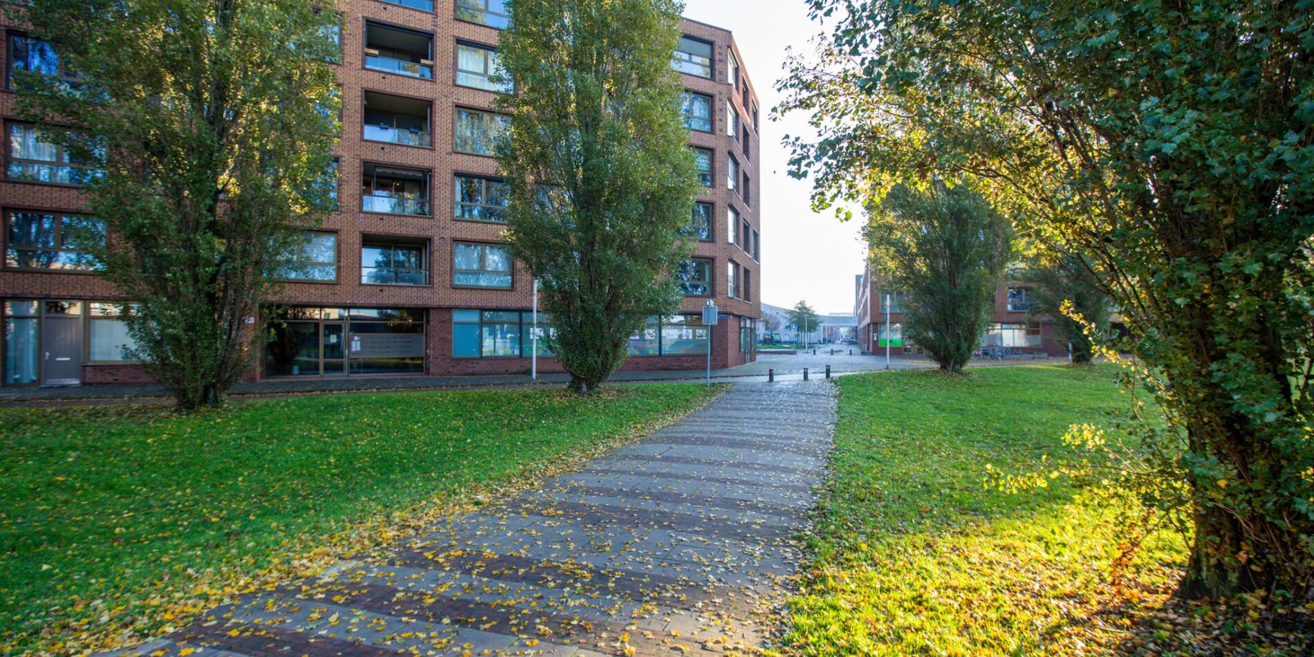 Glenn Millerpad 45 – Foto 36