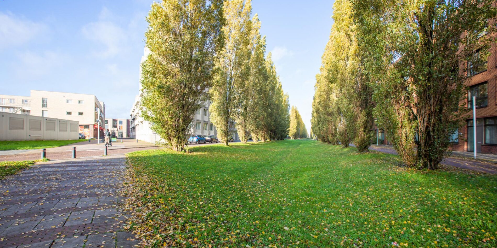 Glenn Millerpad 45 – Foto 13