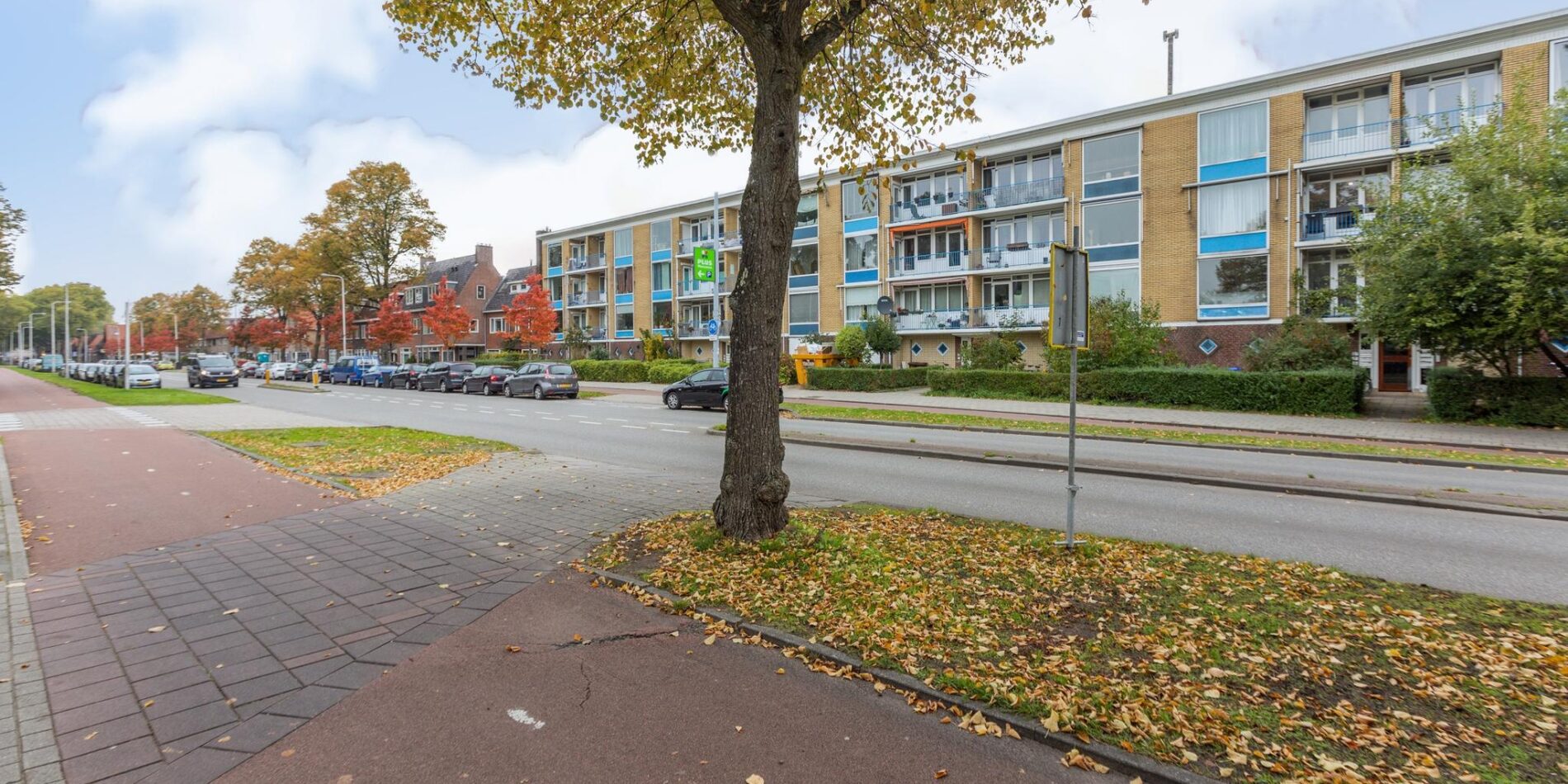 Royaards van den Hamkade 3-2 – Foto 22