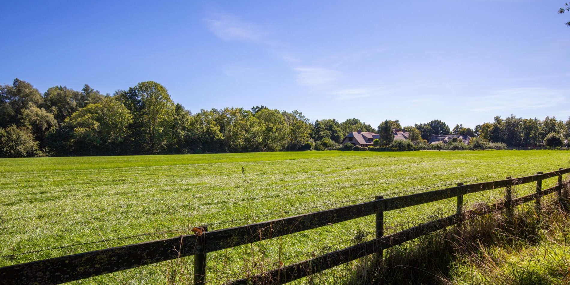 Camminghalaan 75 – Foto 47