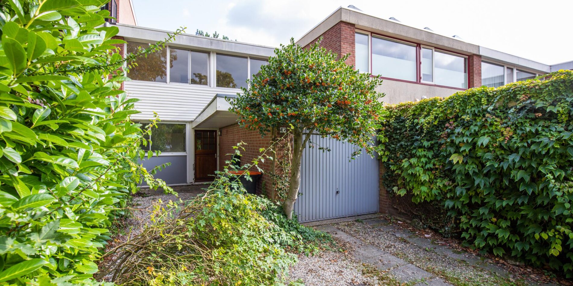 Kolkrijst 49 – Hoofdfoto