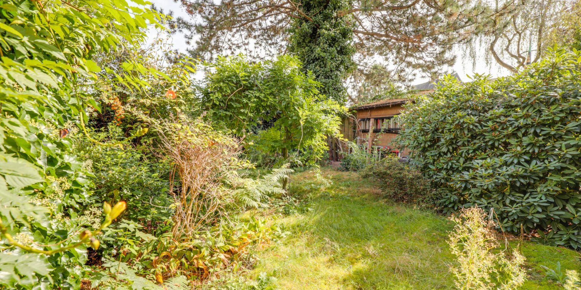 Kolkrijst 49 – Foto 31