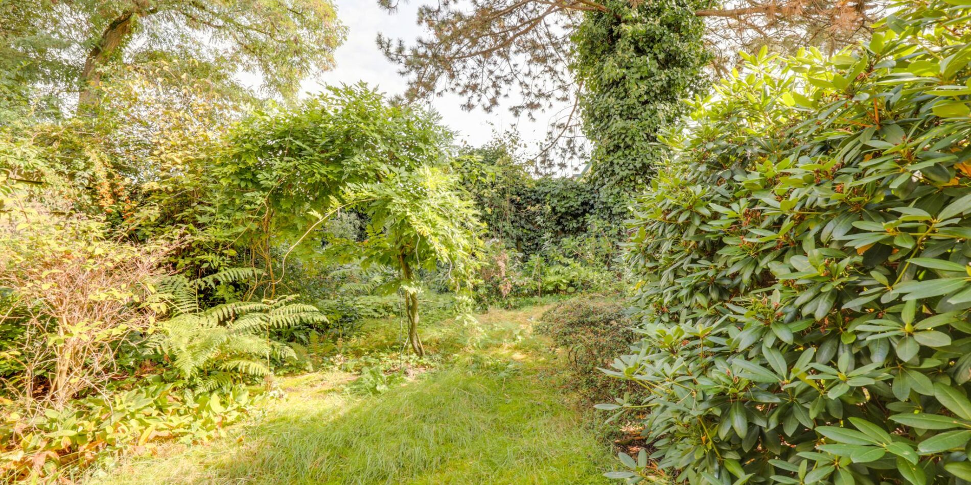 Kolkrijst 49 – Foto 33