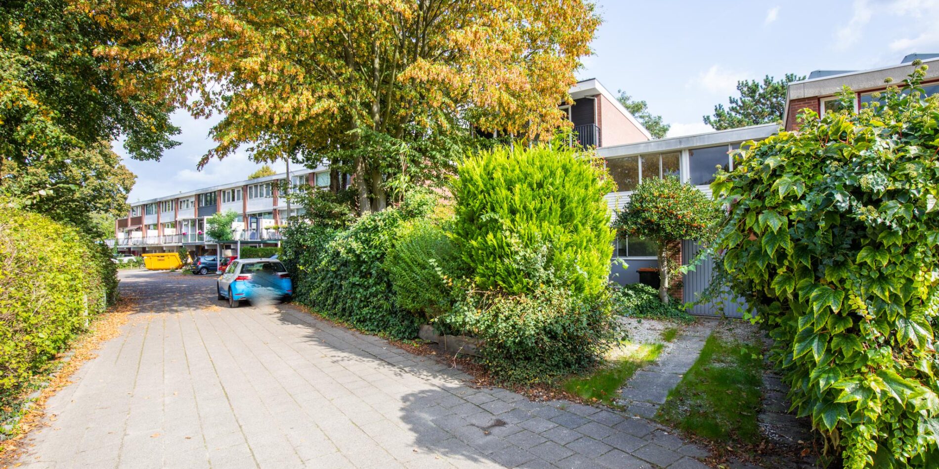 Kolkrijst 49 – Foto 34