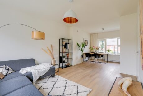 Johan de Wittlaan 381