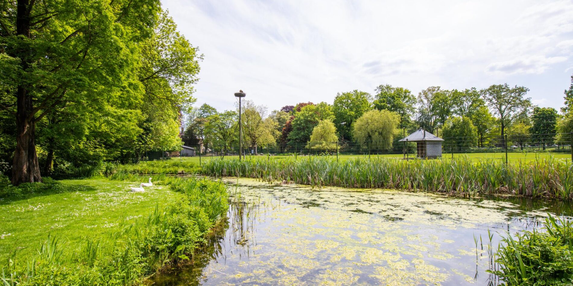 Lessinglaan 64 – Foto 48