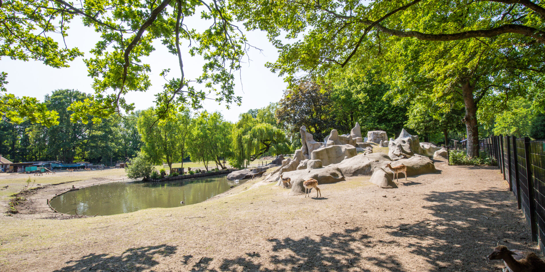 Amsterdamsestraatweg 871C G – Foto 31