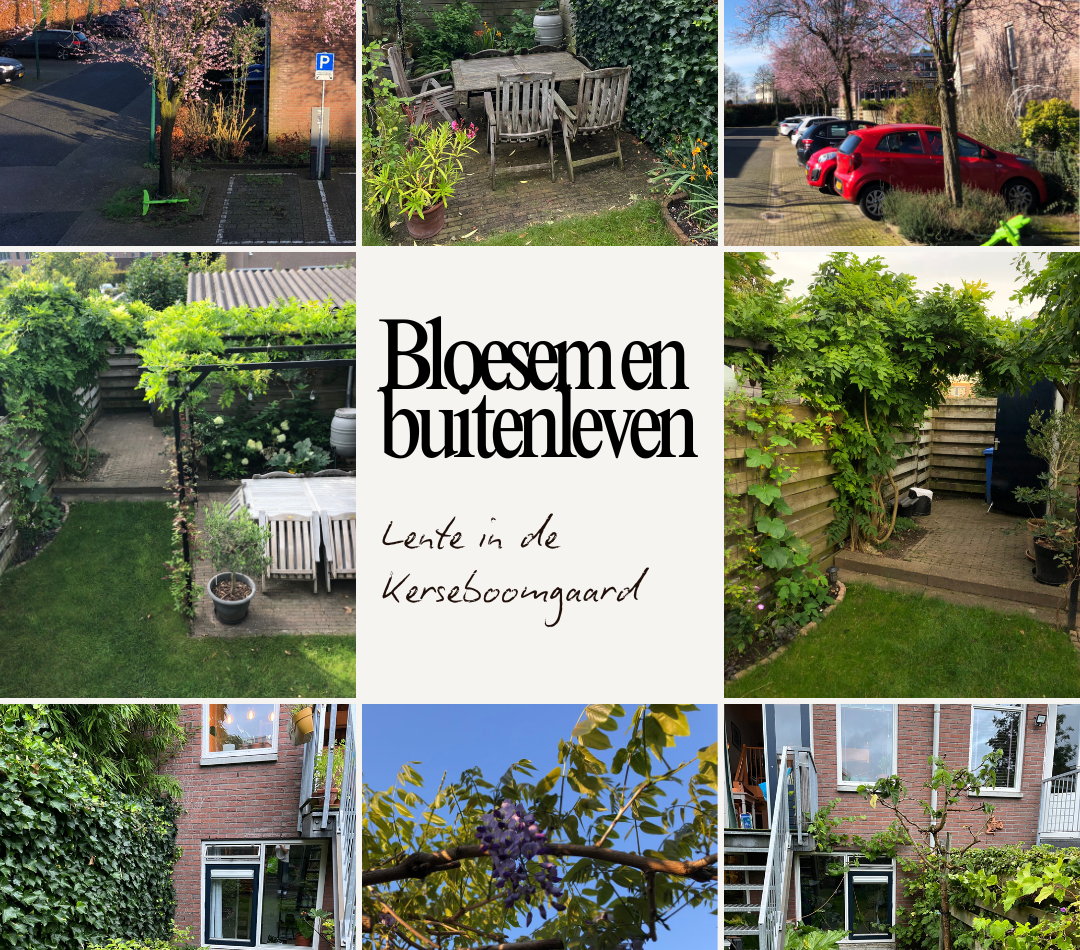 Kerseboomgaard 29 – Foto 21