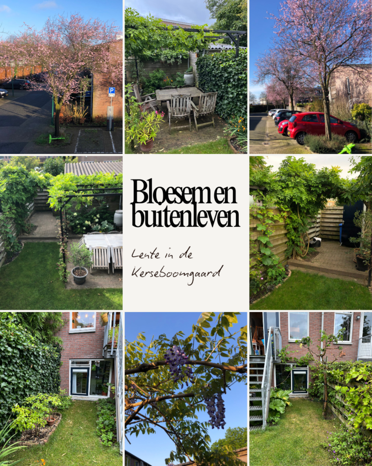 Kerseboomgaard 29 – foto 33